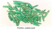 ProNitro® - the next generation of seed technology